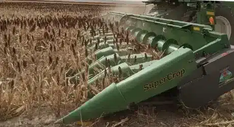 SuperCrop Header